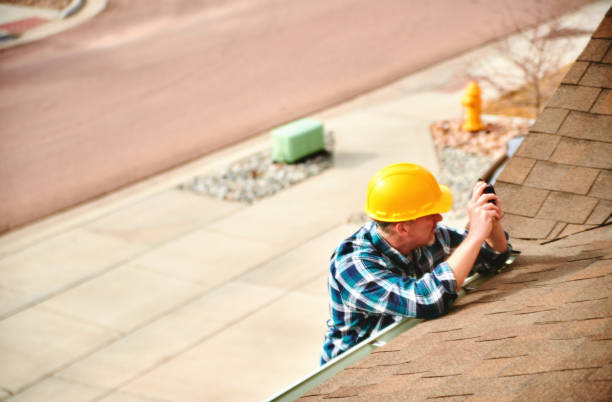 Best Roof Gutter Cleaning  in Hampton, AR